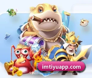 IM体育的故事（IMSPORTS）