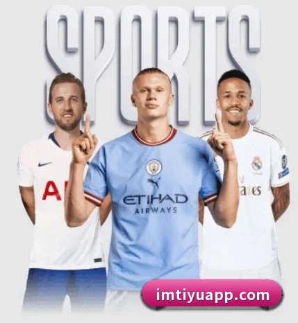 五大服务分区,信息按项目分类(IMSPORTS)